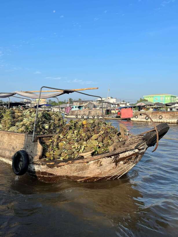 Can Tho: Cai Rang Floating Market and Canals - Key Points