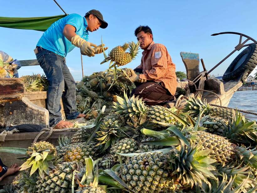 Can Tho: Cai Rang Floating Market Sunrise Tour - Frequently Asked Questions