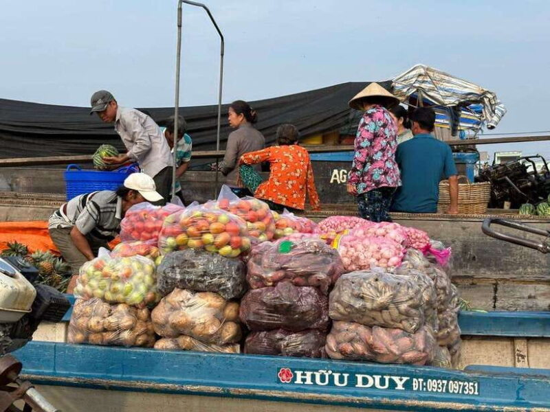 Can Tho: Floating Market, Canal, Cacao Farm & Mekong Life - Delving Into Cacao Cultivation