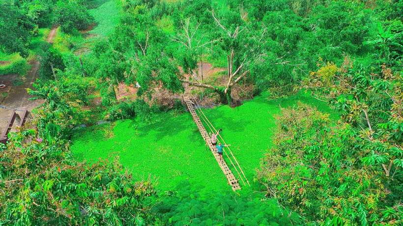 Can Tho: Floating Market & Lung Ngoc Hoang Nature Reserve - Riverside Village
