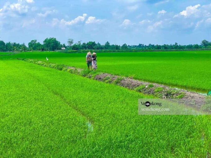 Can Tho: Lung Ngoc Hoang Forest Nature Reserve Half-Day Tour - Important Tips for Travelers