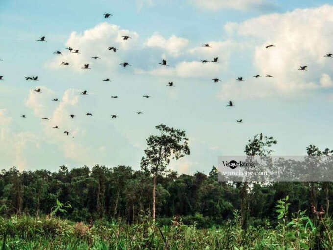 Can Tho: Lung Ngoc Hoang Forest Nature Reserve Half-Day Tour - Frequently Asked Questions