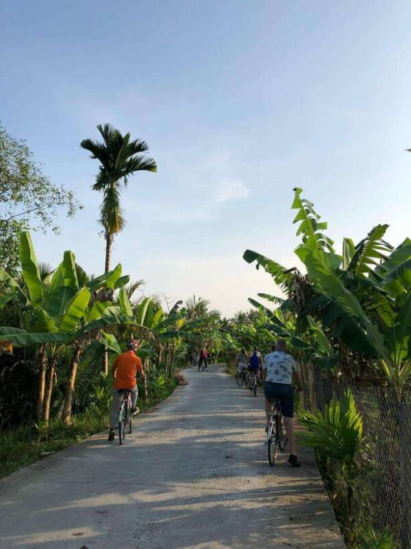 Can Tho: Rural Vietnam Biking Tour With Local Delights - Discover the Old Giant Ficus Microcarpa Tree