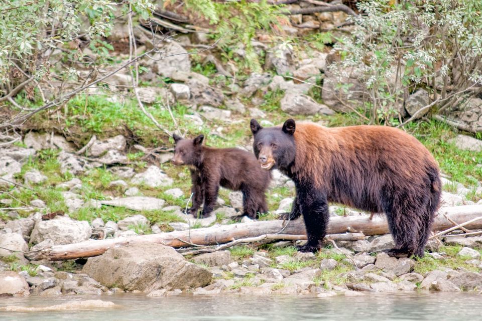 Canada 7–Day National Parks Camping Tour From Seattle - Additional Information