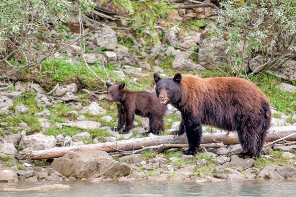 Canadian Rockies 7–Day National Parks Group Tour - Outdoor Activities