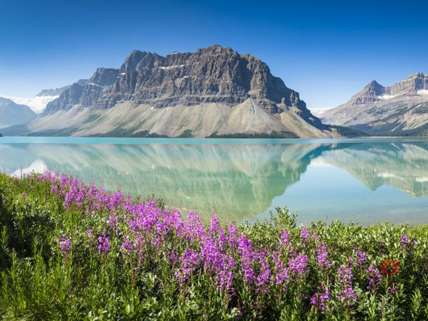 Canadian Rockies: Driving Tours - Wildlife and Views