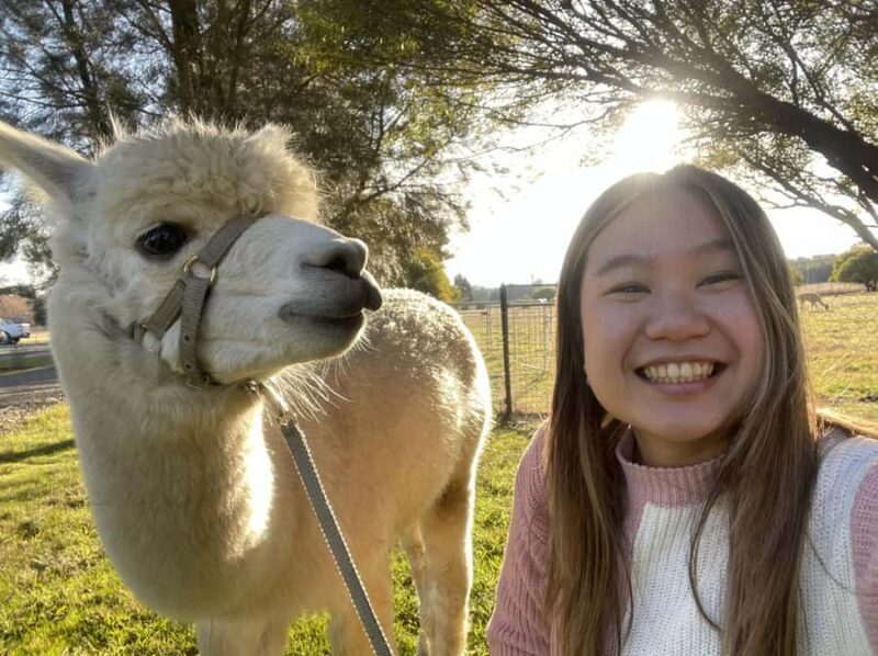 Canberra: Alpaca Adventure Farm Tour (morning tea included) - The Value of the Experience