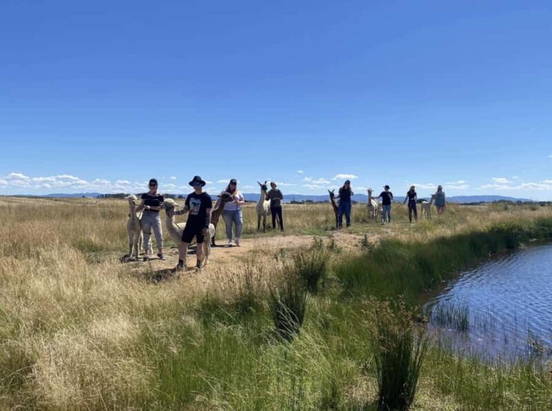 Canberra: Alpaca Adventure Farm Tour (morning tea included) - Who Will Love This Tour?