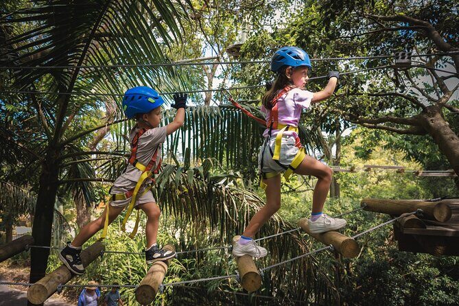 Canberra Junior Tree Ropes Course - Exploring the Canberra Junior Tree Ropes Course: What to Expect