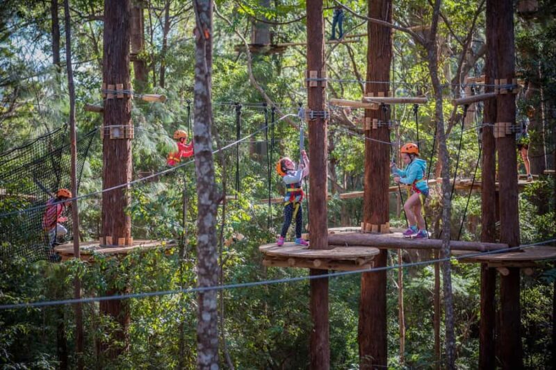 Canberra: Majura Pines Junior Tree Ropes Course - What to Expect at the Majura Pines Junior Tree Ropes Course