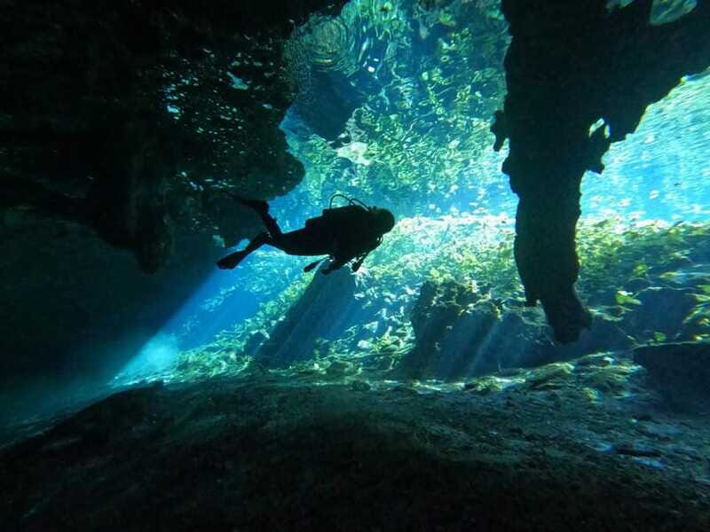 Cancun 2 Cenote Dives: The Pit + Nicte Ha - Certified Divers - The Sum Up
