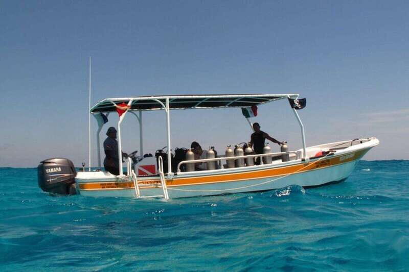 Cancún: 2-Day PADI Open Water Diving Course - What You Can Expect from the Course