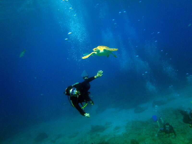 Cancun: 2-Tank Dive for Beginners with MUSA and Reef Dive - An Honest Look at the Experience