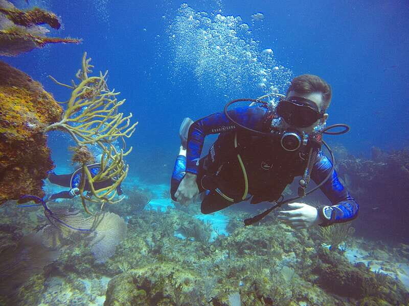 Cancun: 3 Days SDI Open Water Diver Certification - Introduction