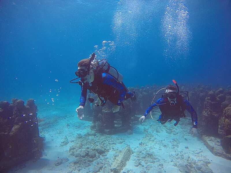Cancun: 3 Days SDI Open Water Diver Certification - What the Experience Includes and What to Budget For
