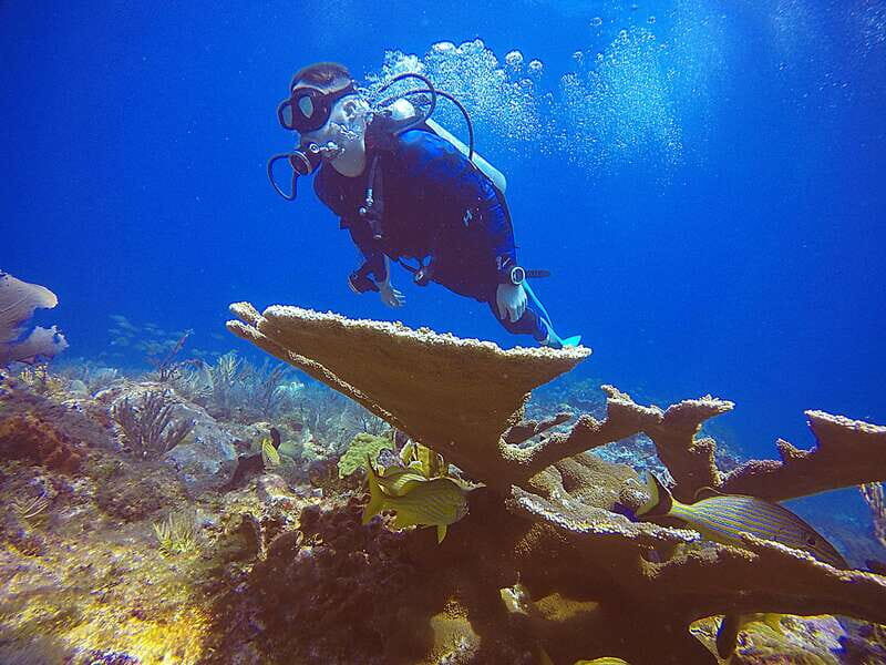 Cancun: 3 Days SDI Open Water Diver Certification - Authentic Experiences and Real Traveler Insights