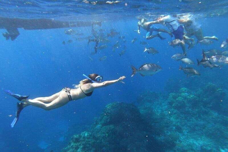 Cancun: 3 Islands Snorkel Adventure - Key Points