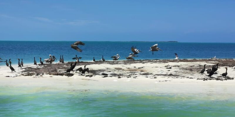 Cancun: 3 Islands Snorkel Adventure - The Sum Up