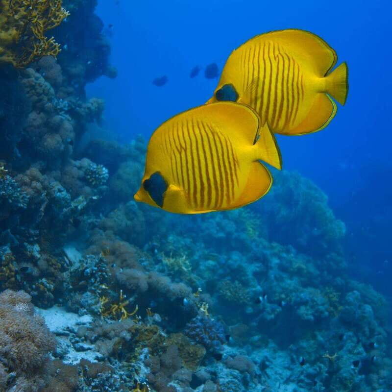 Cancun: 52-Foot Yacht Rental - Pricing and Value Considerations