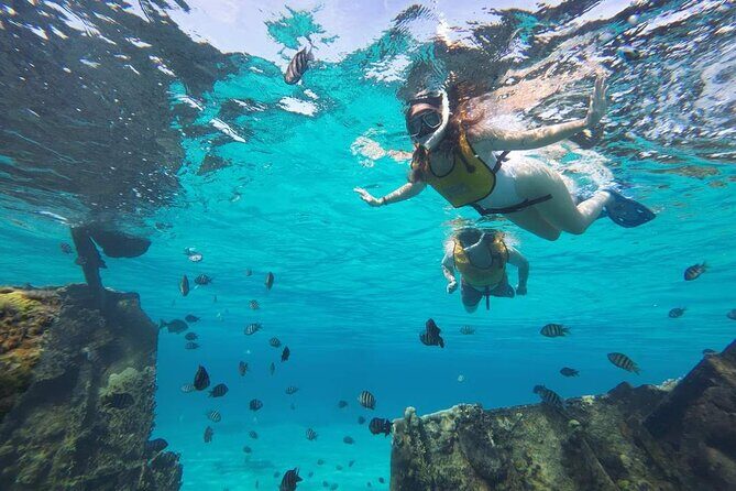 Cancun 6 in 1 Snorkeling Tour: MUSA, Shipwreck, Reefs & Cenotes - The Practicalities