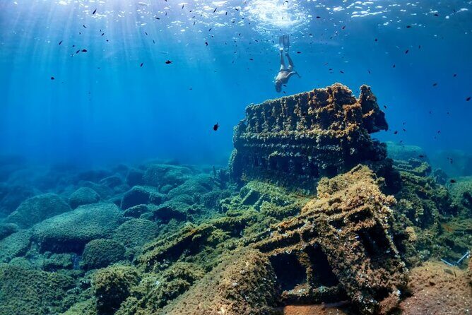 Cancun 6 in 1 Snorkeling Tour: MUSA, Shipwreck, Reefs & Cenotes - FAQs