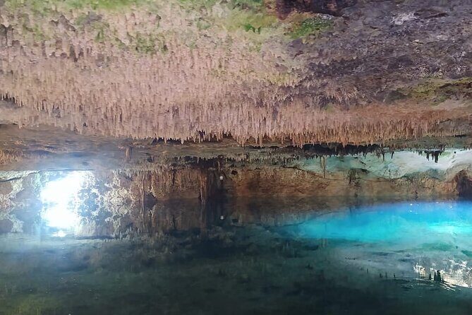 Cancun Adventure Tour: ATV Rides, Zipline, Lunch & Tequila - Realistic Expectations and Practical Tips