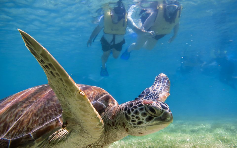 Cancun: Akumal Turtles and Cenote Snorkeling Tour - Exploring the Mesoamerican Reef