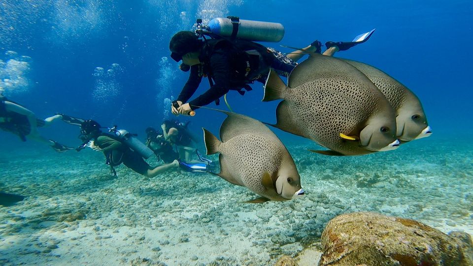 Cancun: All Included Diving Lesson (2 Tanks) - Included Equipment and Activities