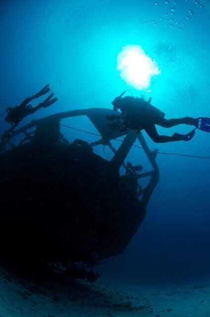 Cancun: Angelfish Discovery Package - Key Points