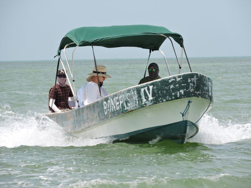 Cancun: Barracuda Fishing Experience - Key Points