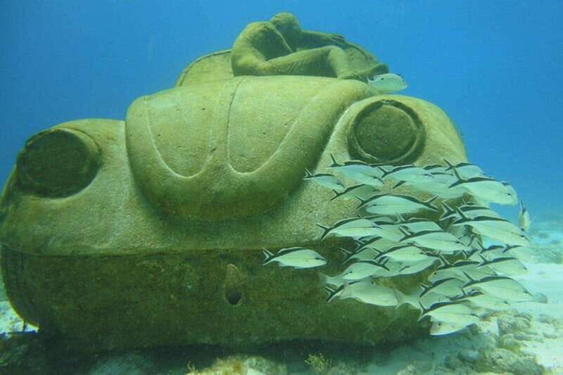 Cancun: Beginner Scuba Diving at Underwater Museum - What’s Included and What Isn’t