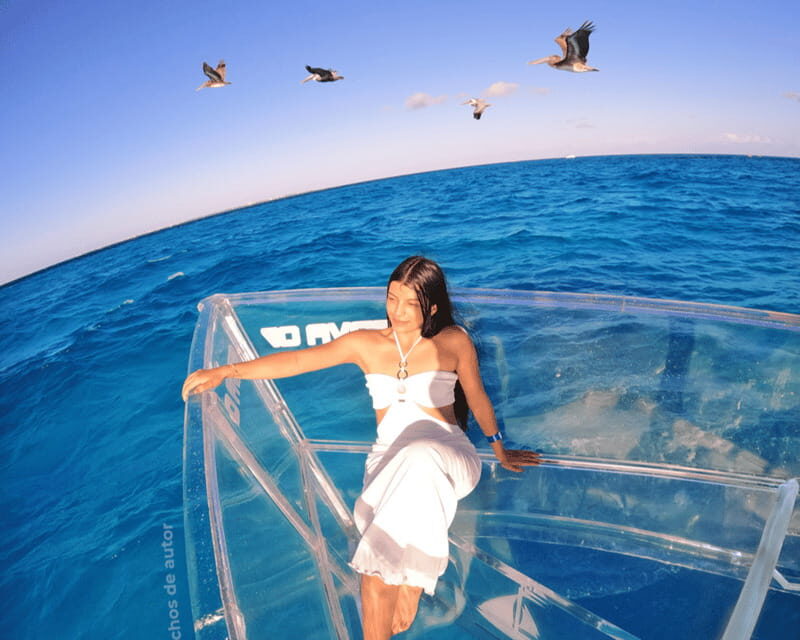 Cancun: Boat trip with transparent bottom and drinks - Why You Might Love This Tour