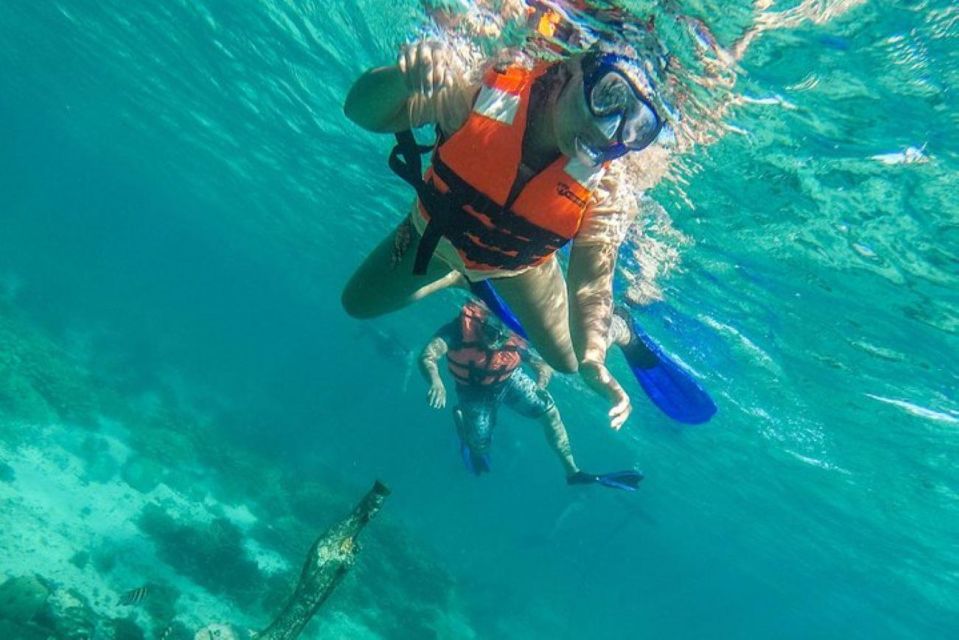 Cancun: Cancun Cenote Tour & Snorkeling - Pickup and Drop-off