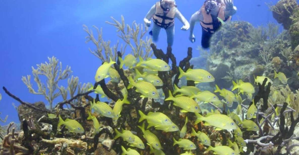 Cancun: Cancun Cenote Tour & Snorkeling - Itinerary Highlights