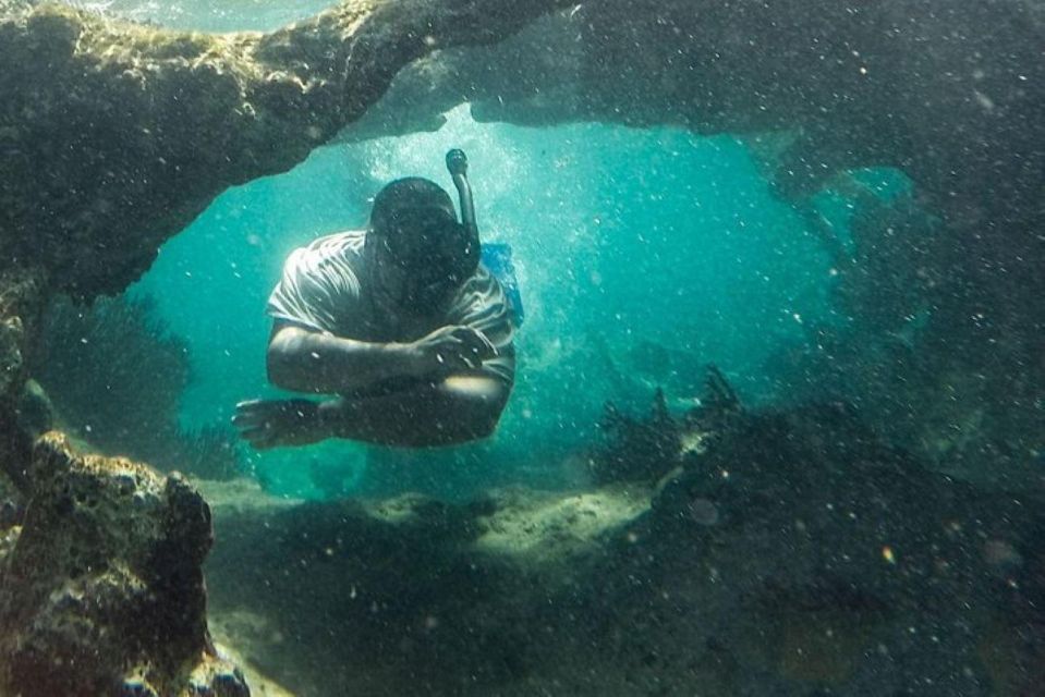 Cancun: Cancun Cenote Tour & Snorkeling - Expert Guidance