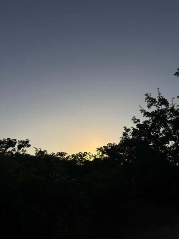 Cancun: Cenotes El Retoño entrance with transport, food, and guided tour. - Final thoughts