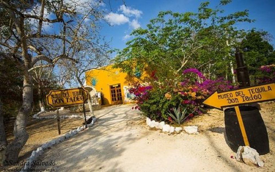 Cancún: Chichén Itzá, Valladolid and Hubiku Cenote Day-Trip - Frequently Asked Questions