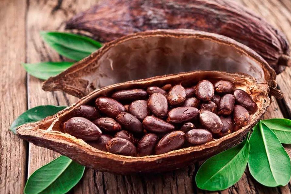 Cancún: Chocolate Making Class and Tasting With Chef - Booking and Meeting Details