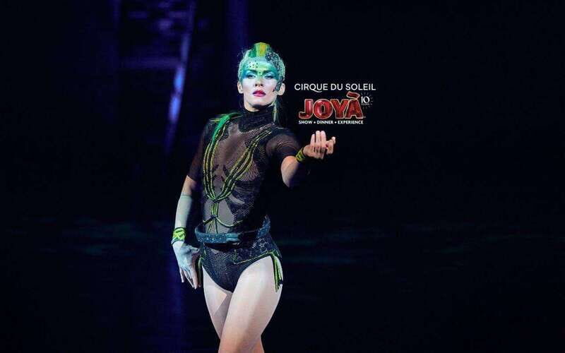 Cancún: Cirque du Soleil JOYÀ Entry Ticket and Transfer - A Closer Look at the Experience