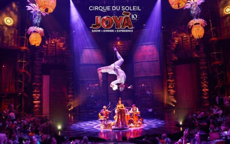 Cancún: Cirque du Soleil JOYÀ Ticket - Key Points