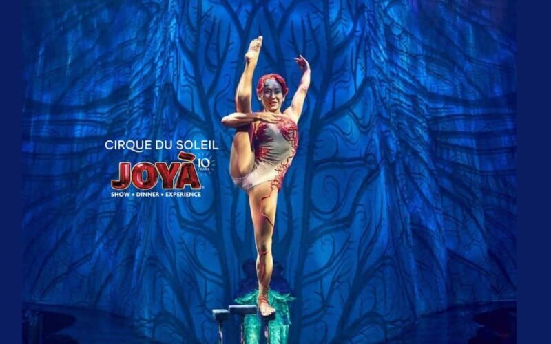 Cancún: Cirque du Soleil JOYÀ Ticket - The Show and Its Highlights