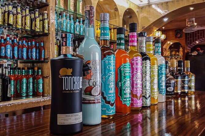 Cancun City Private Half-Day Guided Tour - In-Depth Look at the Tour Itinerary