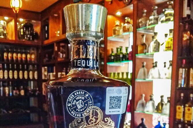 Cancun City Private Half-Day Guided Tour - Final Takeaway