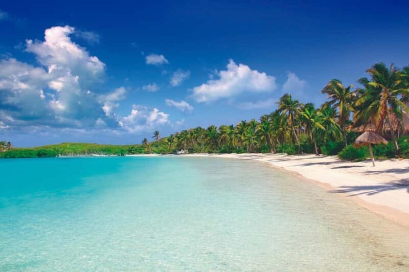 Cancun: Contoy Island & Isla Mujeres with snorkeling and lunch on the beach - Key Points