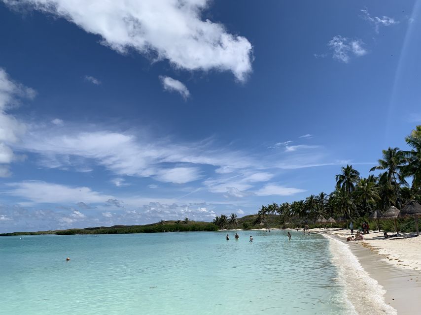 Cancun: Contoy Island With Lunch and Open Bar - Customer Perspectives
