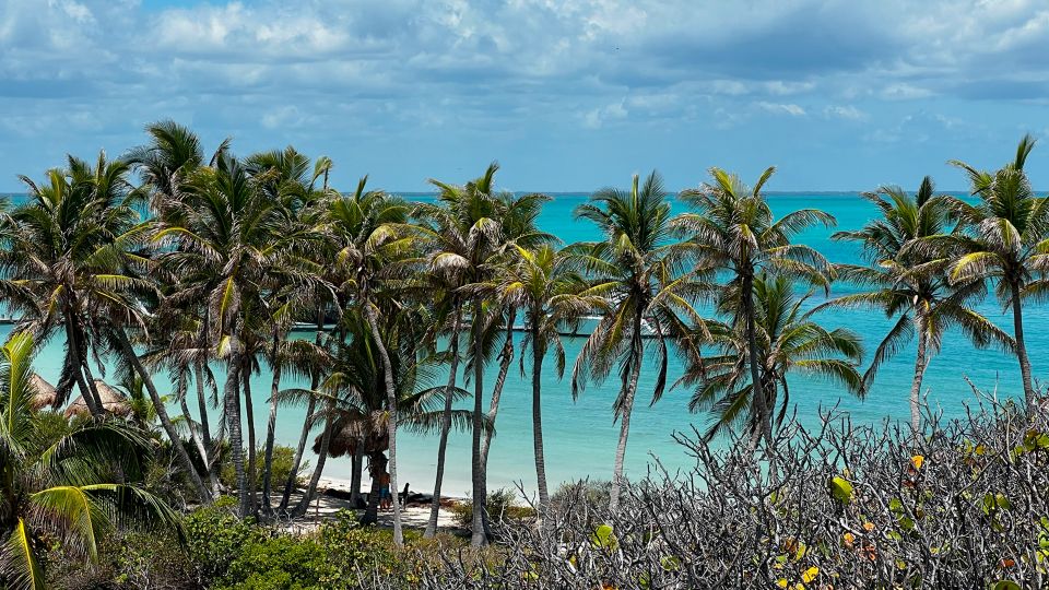 Cancun: Contoy Island With Lunch and Open Bar - Island Exploration