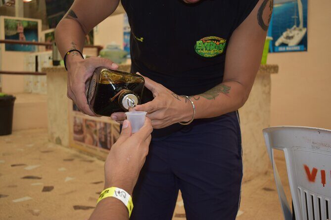 Cancun: Discover the Hidden Treasures: Exploring 3 Jungle Cenotes - The Sum Up