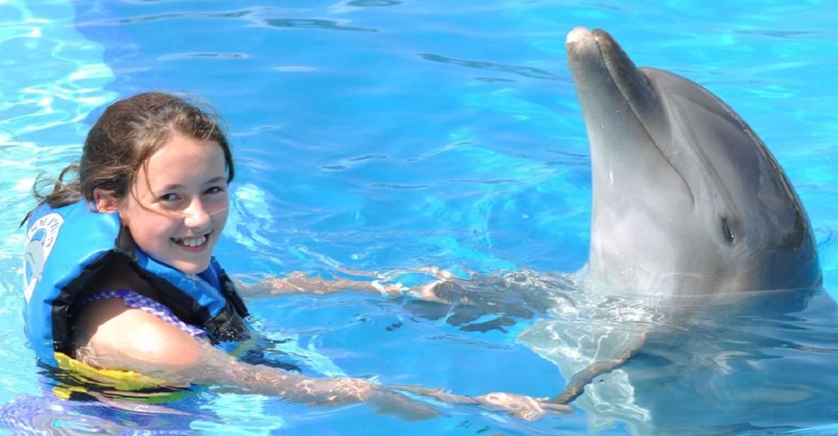 Cancún: Dolphin Encounter on Isla Mujeres With Buffet - Key Points