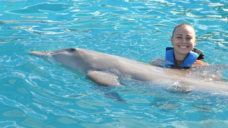 Cancún: Dolphin Encounter on Isla Mujeres With Buffet - Duration and Scheduling