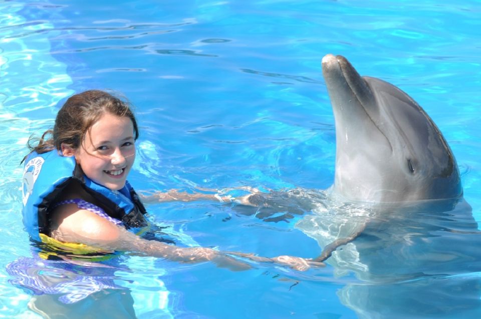 Cancún: Dolphin Encounter on Isla Mujeres With Buffet - Inclusions